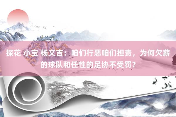 探花 小宝 杨文吉：咱们行恶咱们担责，为何欠薪的球队和任性的足协不受罚？