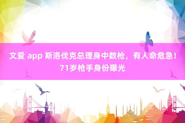 文爱 app 斯洛伐克总理身中数枪，有人命危急！71岁枪手身份曝光