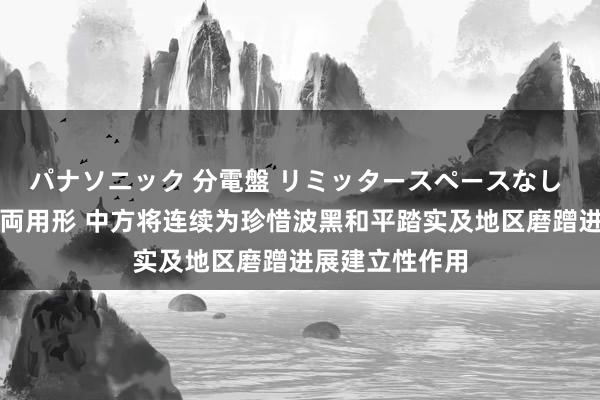 パナソニック 分電盤 リミッタースペースなし 露出・半埋込両用形 中方将连续为珍惜波黑和平踏实及地区磨蹭进展建立性作用