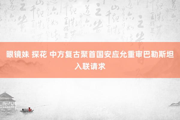 眼镜妹 探花 中方复古聚首国安应允重审巴勒斯坦入联请求