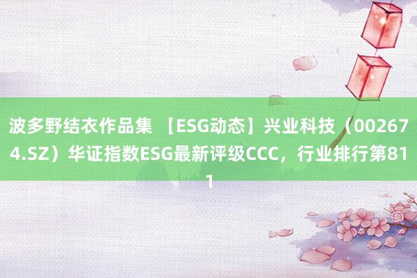 波多野结衣作品集 【ESG动态】兴业科技（002674.SZ