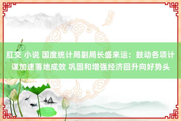 肛交 小说 国度统计局副局长盛来运：鼓动各项计谋加速落地成效 巩固和增强经济回升向好势头