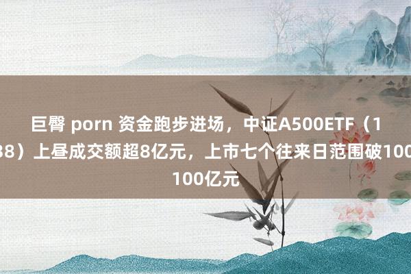 巨臀 porn 资金跑步进场，中证A500ETF（159338）上昼成交额超8亿元，上市七个往来日范围破100亿元