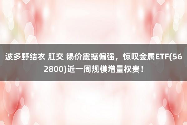 波多野结衣 肛交 锡价震撼偏强，惊叹金属ETF(562800)近一周规模增量权贵！