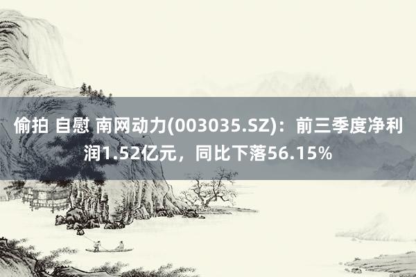 偷拍 自慰 南网动力(003035.SZ)：前三季度净利润1.52亿元，同比下落56.15%