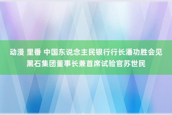 动漫 里番 中国东说念主民银行行长潘功胜会见黑石集团董事长兼首席试验官苏世民