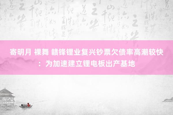 寄明月 裸舞 赣锋锂业复兴钞票欠债率高潮较快：为加速建立锂电板出产基地