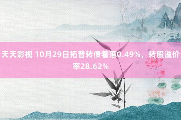 天天影视 10月29日拓普转债着落0.49%，转股溢价率28.62%