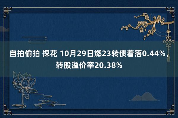 自拍偷拍 探花 10月29日燃23转债着落0.44%，转股溢价率20.38%