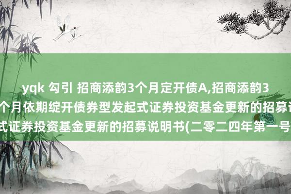 yqk 勾引 招商添韵3个月定开债A，招商添韵3个月定开债C: 招商添韵3个月依期绽开债券型发起式证券投资基金更新的招募说明书(二零二四年第一号)