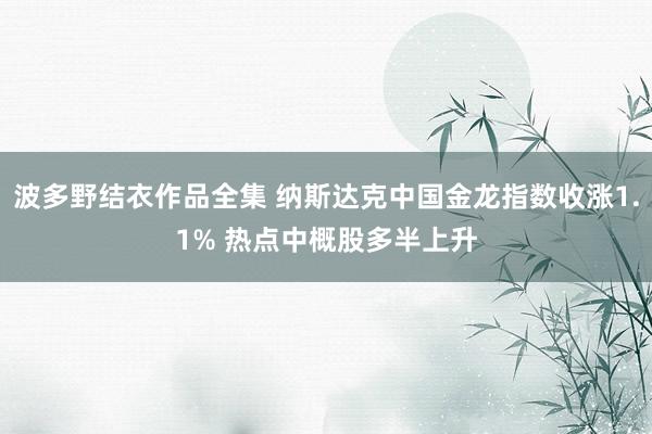 波多野结衣作品全集 纳斯达克中国金龙指数收涨1.1% 热点中概股多半上升