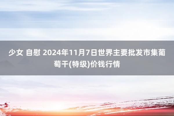 少女 自慰 2024年11月7日世界主要批发市集葡萄干(特级