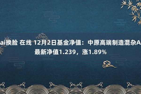 ai换脸 在线 12月2日基金净值：中原高端制造混杂A最新净值1.239，涨1.89%