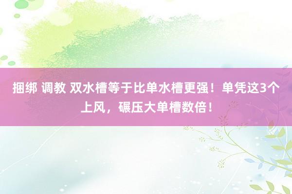 捆绑 调教 双水槽等于比单水槽更强！单凭这3个上风，碾压大单槽数倍！