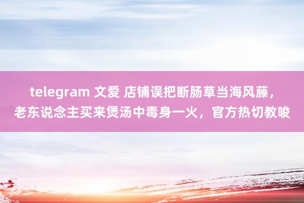 telegram 文爱 店铺误把断肠草当海风藤，老东说念主买来煲汤中毒身一火，官方热切教唆