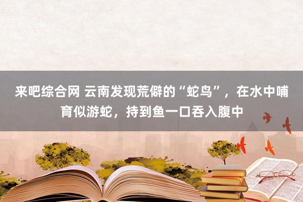 来吧综合网 云南发现荒僻的“蛇鸟”，在水中哺育似游蛇，持到鱼一口吞入腹中