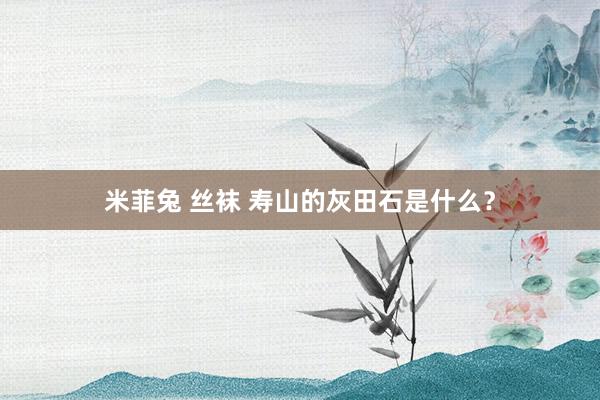 米菲兔 丝袜 寿山的灰田石是什么？