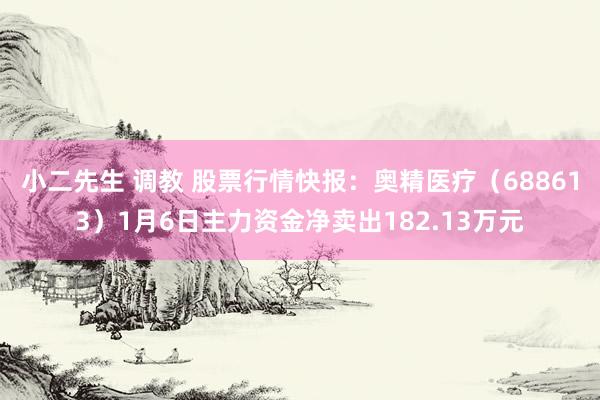 小二先生 调教 股票行情快报：奥精医疗（688613）1月6日主力资金净卖出182.13万元