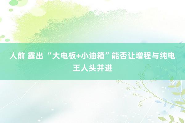 人前 露出 “大电板+小油箱”能否让增程与纯电王人头并进