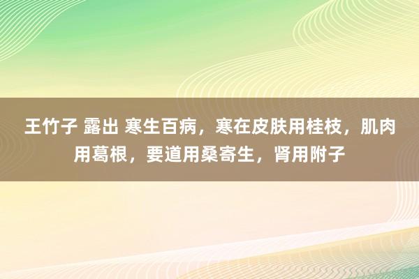 王竹子 露出 寒生百病，寒在皮肤用桂枝，肌肉用葛根，要道用桑寄生，肾用附子