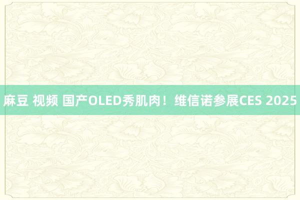 麻豆 视频 国产OLED秀肌肉！维信诺参展CES 2025