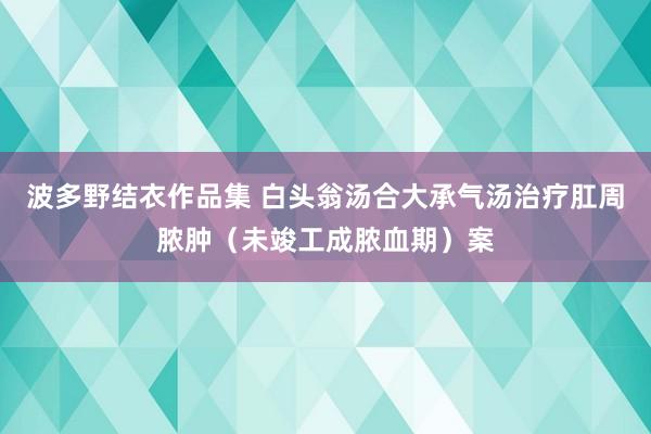 波多野结衣作品集 白头翁汤合大承气汤治疗肛周脓肿（未竣工成脓血期）案