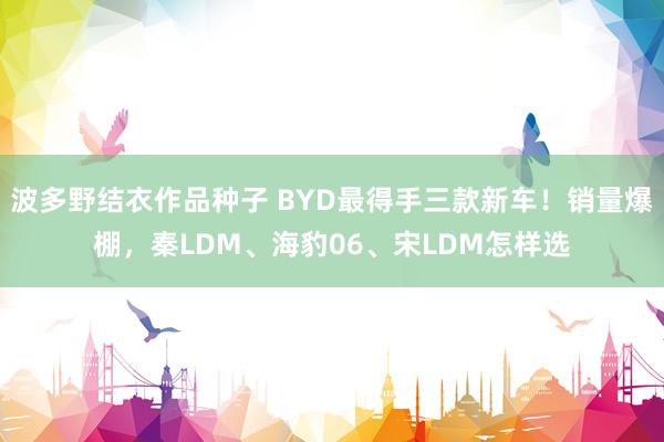 波多野结衣作品种子 BYD最得手三款新车！销量爆棚，秦LDM、海豹06、宋LDM怎样选