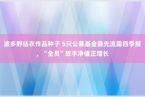 波多野结衣作品种子 5只公募基金最先流露四季报，“全员”放手净值正增长