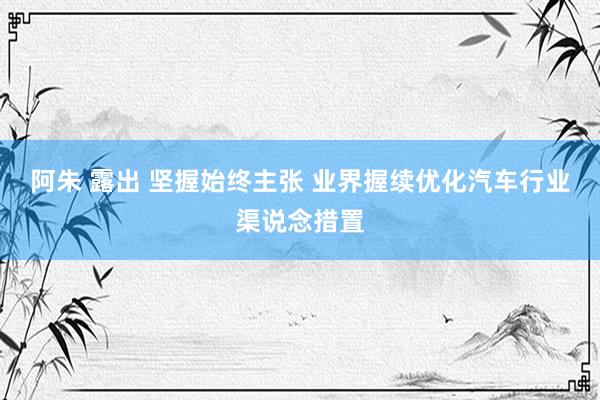 阿朱 露出 坚握始终主张 业界握续优化汽车行业渠说念措置