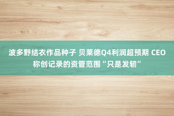 波多野结衣作品种子 贝莱德Q4利润超预期 CEO称创记录的资