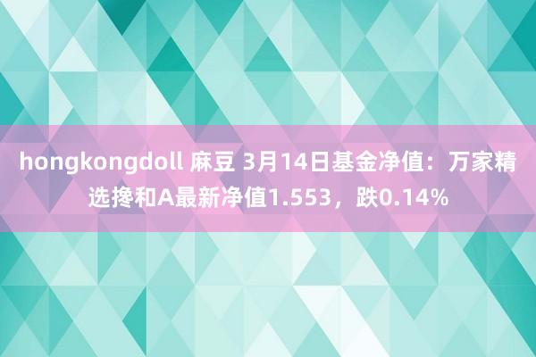 hongkongdoll 麻豆 3月14日基金净值：万家精选